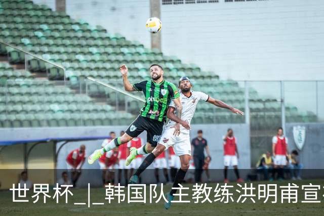 世界杯 | 韩国队主教练洪明甫宣布辞职