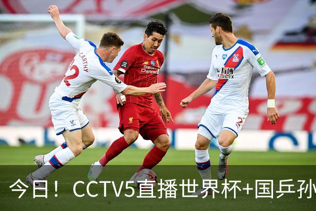 今日！CCTV5直播世界杯+国乒孙颖莎冲击冠军+中国男篮，5+转温网